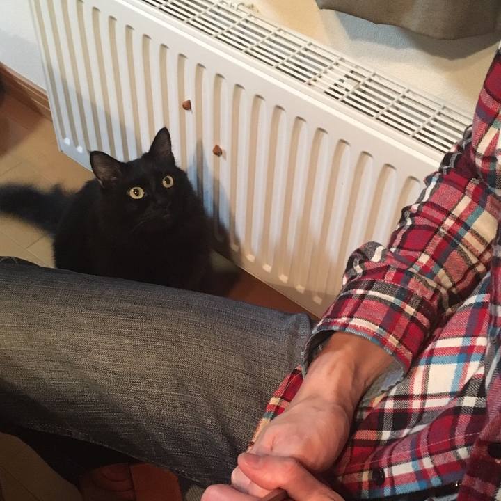 00ca46e2 1e58 4fbe a2c7 23a397717a04 1510051341836