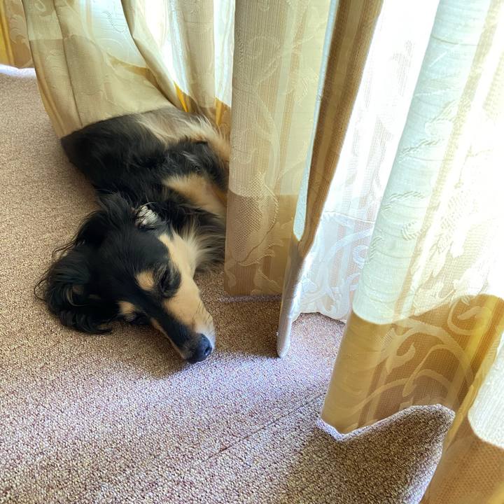 00ca594d 88a4 435e a326 a7b24ecf4520 1750302243964