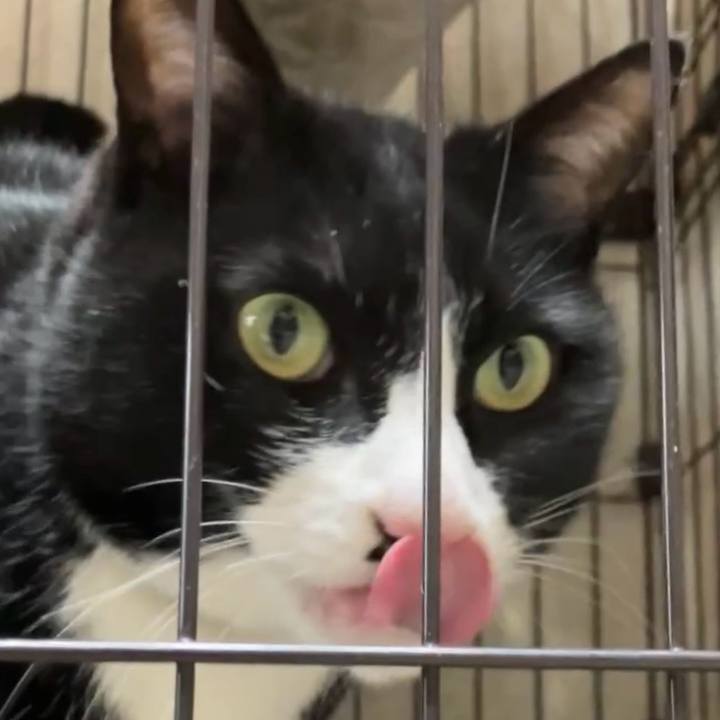 00ca6511 fede 4a9d b7f9 d2fc34199e1b 1741167169276