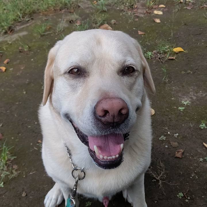 00ca9a6b c08a 4a76 8da9 d76bf9d3ad96 1664073006057