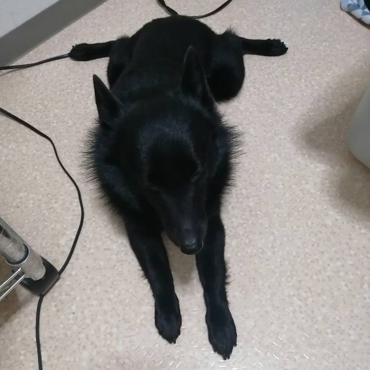 00caa42e 2f92 4d12 b62b 875172cfc26d 1612994491520