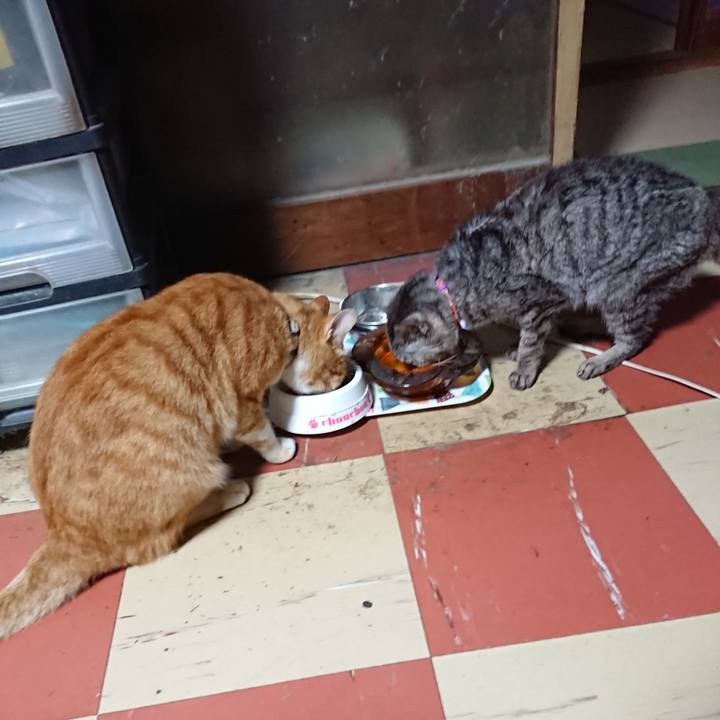 00caab33 7fe5 4462 9ab2 3abb6659ad0c 1596831038098