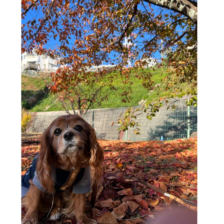 00caaee6 3cc2 471f bbb2 7d802f29e161 1763771553254