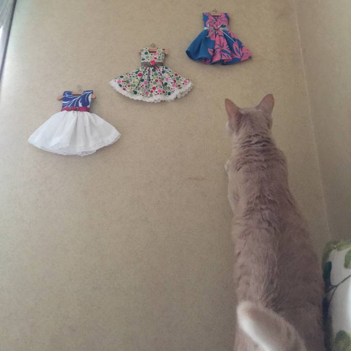 00cab188 36fe 45ad 939a 01ae5ac91449 1540959252134