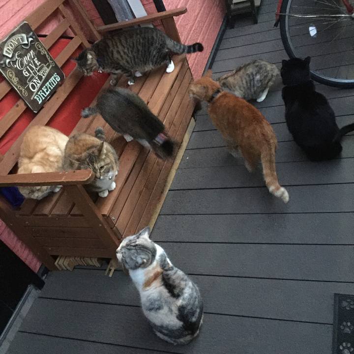 00cab20c 3bbb 4644 9387 e8c47df04bef 1555407598332