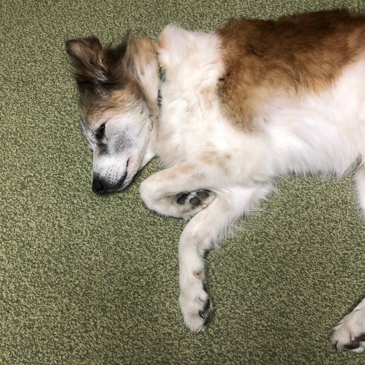 00cabab1 7d6e 4a07 948b 4d8ab8fa13d2 1543136364562