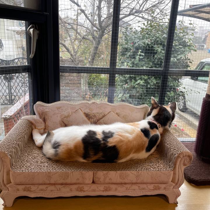 00cabee2 1f73 4d0d 9dc9 da95f6dc6421 1675986621008