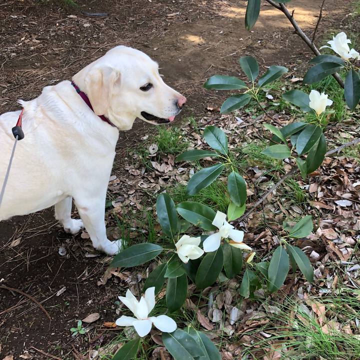 00cb24bc a18a 43d2 9377 2c6e1a44c005 1616024700760