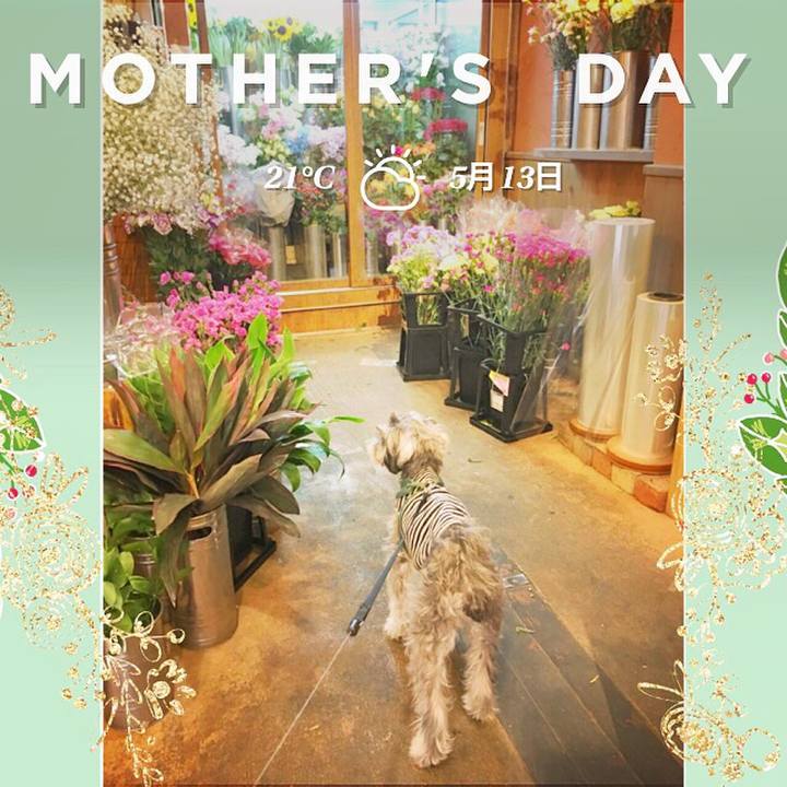 00cb4b43 53e7 4b99 a9c4 447e4679fe6e 1526196074723