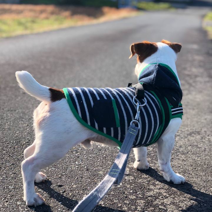 00cb5b13 ad55 4880 85fa 61b674daeee0 1710057948946