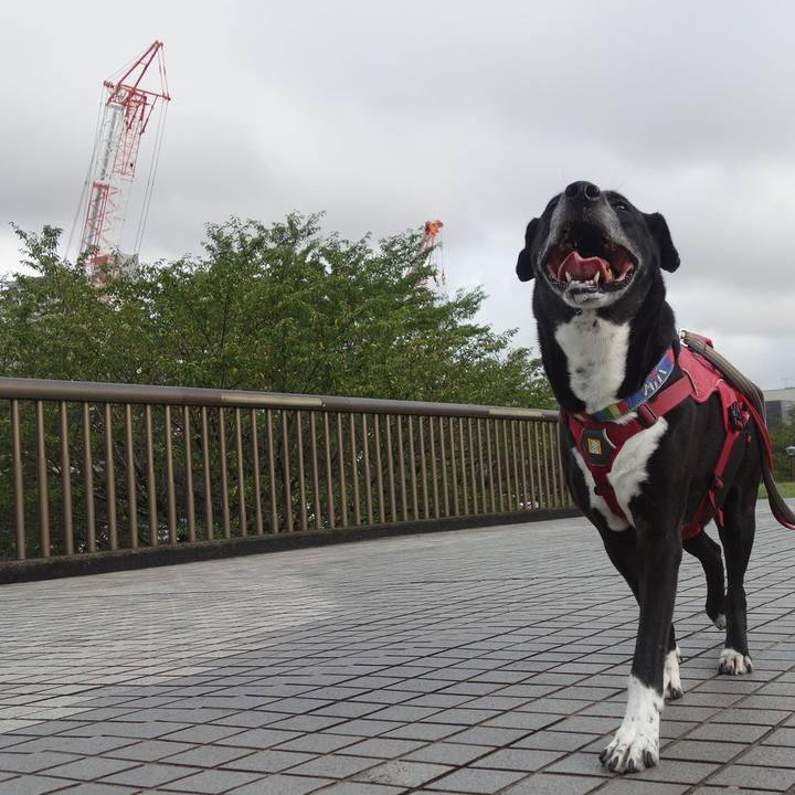 00cb97c1 42fa 404c 9a3e 9d34bf2d11c3 1692748661810