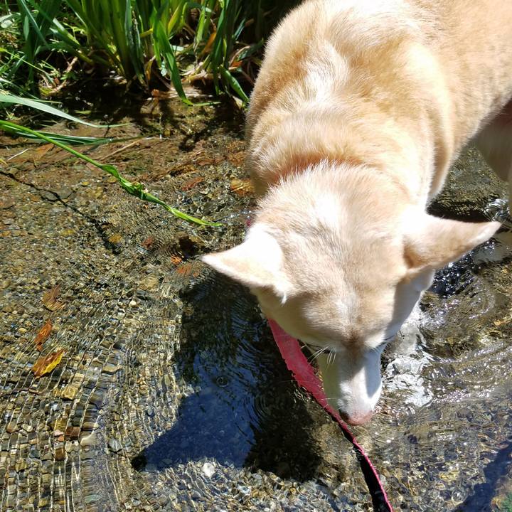 00cbc37b e949 4a79 99bf 8550e6050633 1527928777453