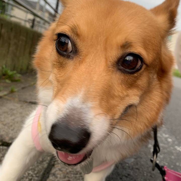 00cbc82e 4dc1 4373 88d9 9ef49279acf0 1592168019931