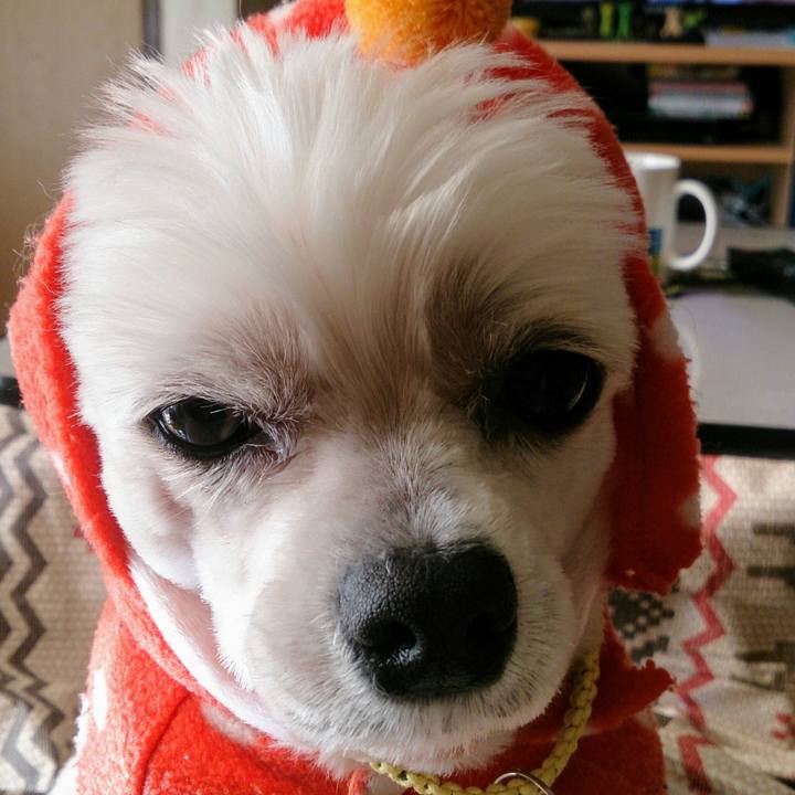 00cbc846 003f 436f 9fc4 03473628293a 1513049996650