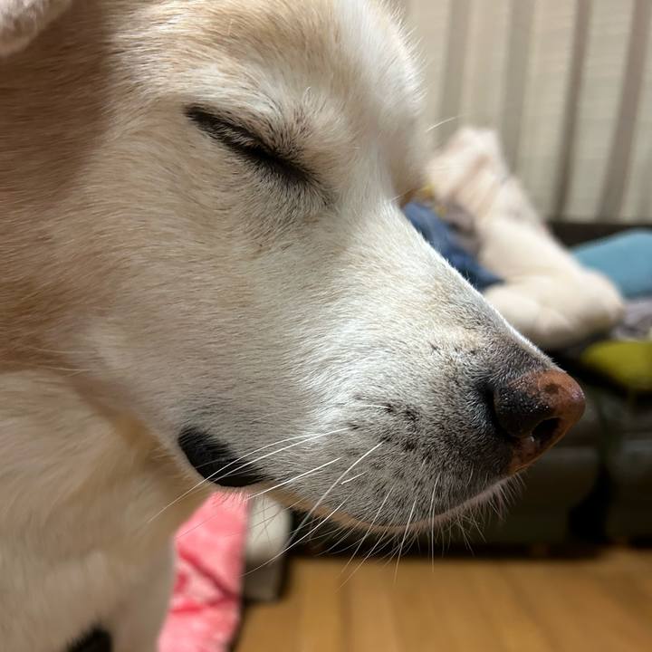 00cbce8b be96 409b a1c1 db98f5002e63 1696752149816