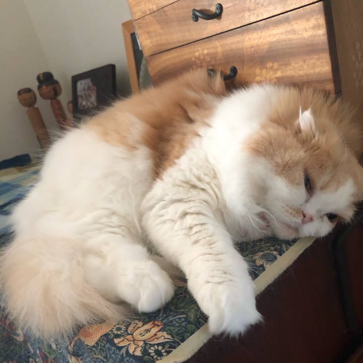 00cbd056 2f9e 4984 a786 6c64edf87bc5 1673433826379