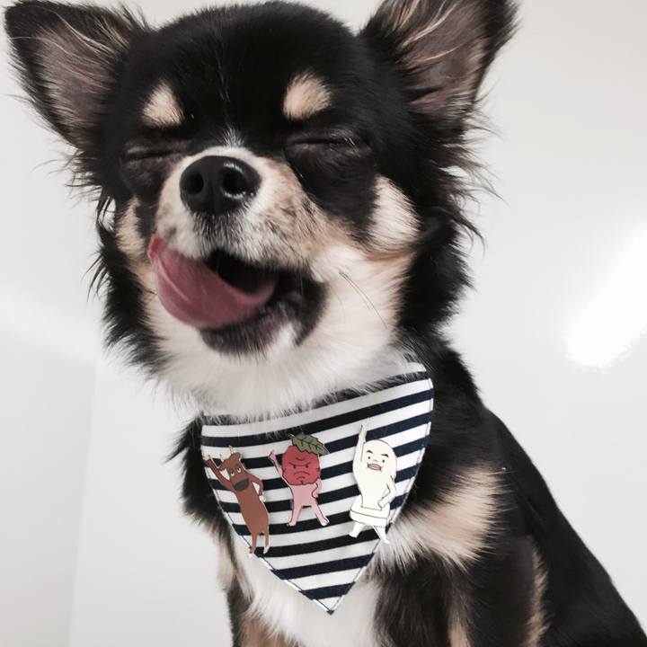 00cbdc60 dc99 4d87 a757 4bd98e16876a 1517574803474