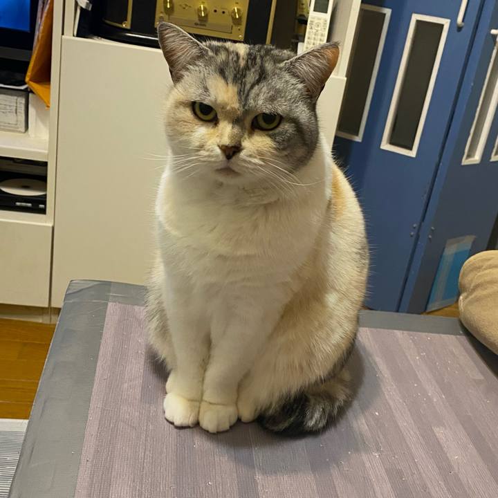 00cbdef7 4e89 416f af84 2558edcff810 1646577287273