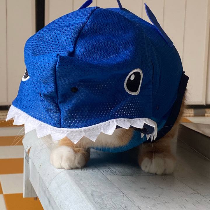 00cc0748 2c34 439e 86c5 d1725f09bd41 1686463599824