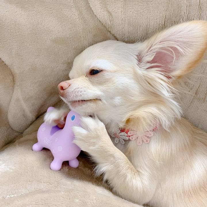 00cc124d ea57 46d6 b20d 42c1dc2c0cfe 1615091117253