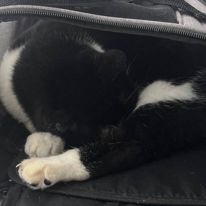 00cc26ed 9b0f 4df9 8c2c 15fb8428aaef 1699578429526