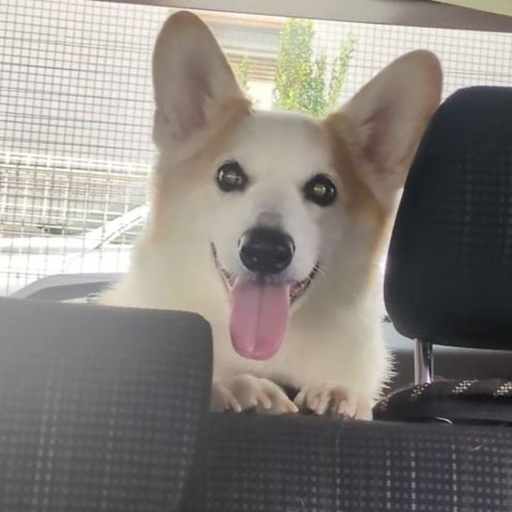 00ccbcd0 8b8b 47d0 bea1 329e4cf21617 1762315404858