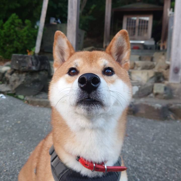 00cd2158 5bec 47e8 98fb 8f936a8fdfd3 1762581954385