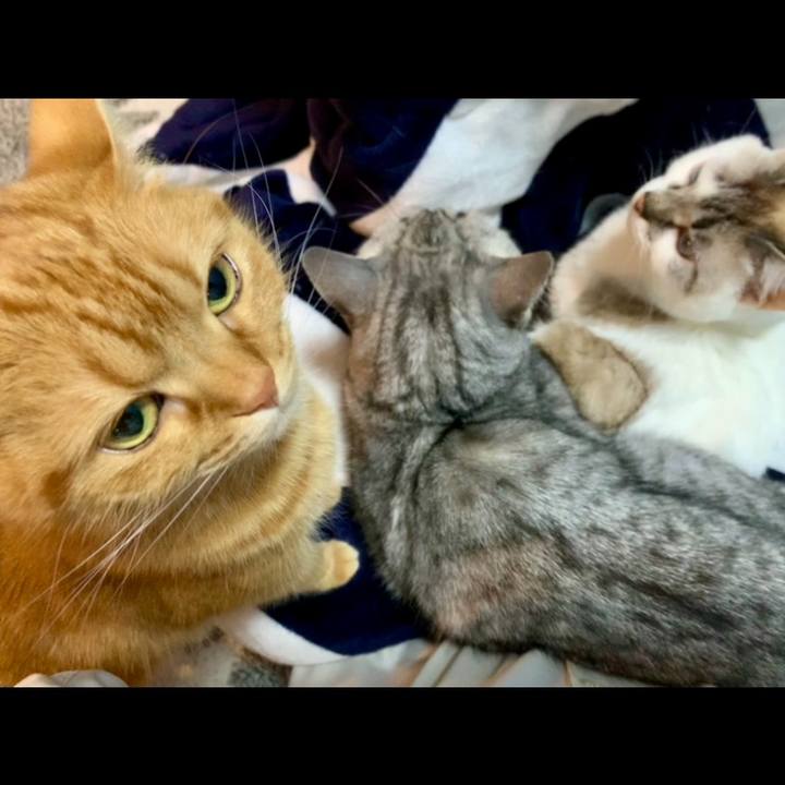 00cd3da0 4904 41c0 9fc6 3b2c7566b4a9 1648198968301