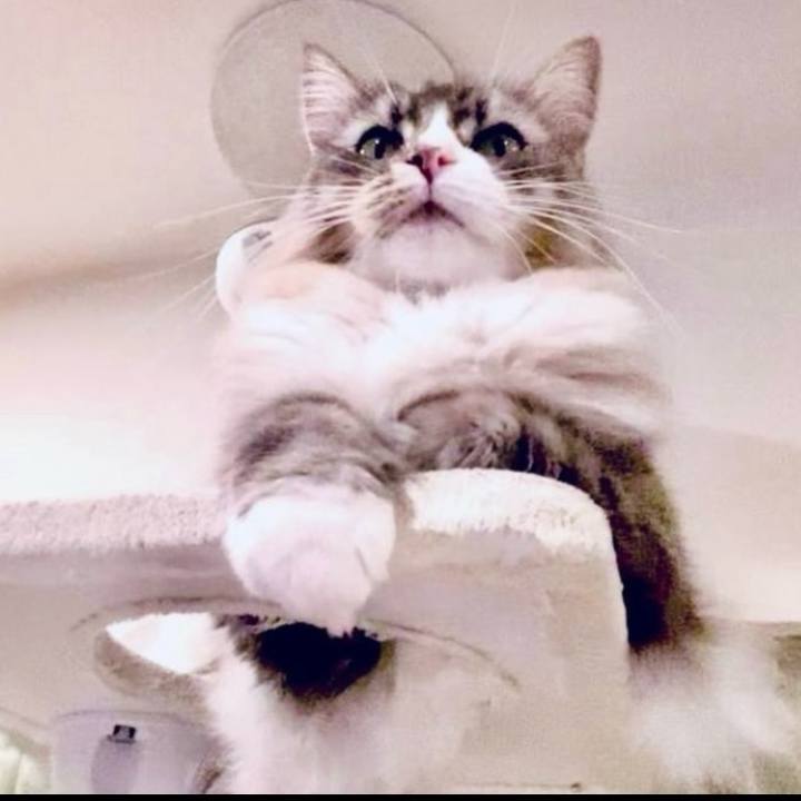 00cd6fe8 7e48 4494 8e67 70c2057651b5 1741455080439