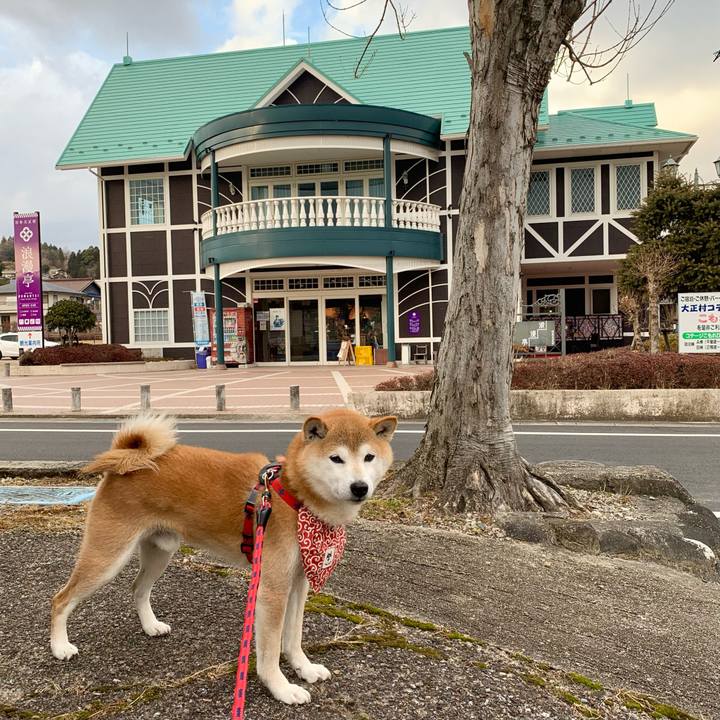 00cd8937 a3a8 465b ba6b 3ba1cc2a74f4 1643193206113