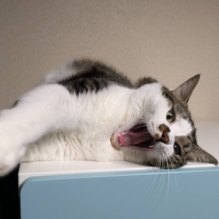 00cd90c1 0f5c 4a9e baa6 ab82ad80455e 1727098243445