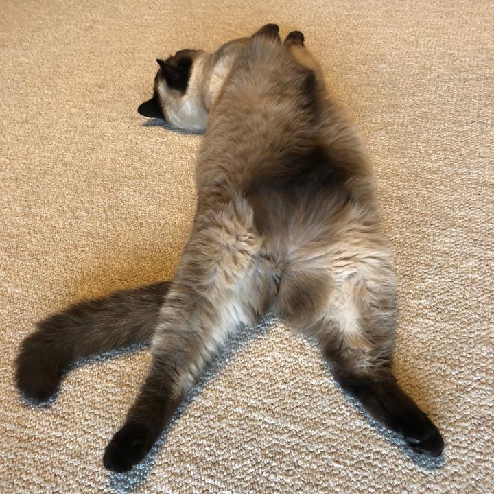 00ce113b a0a7 4922 b734 99e3845af73a 1619743213110