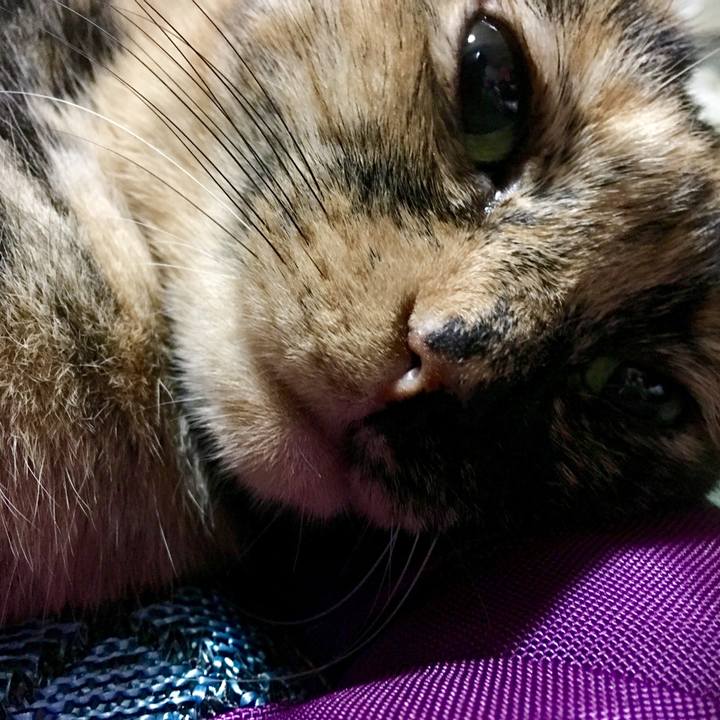 00ce2801 7000 48c7 af5b 98e9ecd60ffe 1512140420569