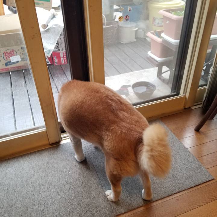 00ce3da2 d769 4279 a3ce 273c4ced2a94 1743550100677