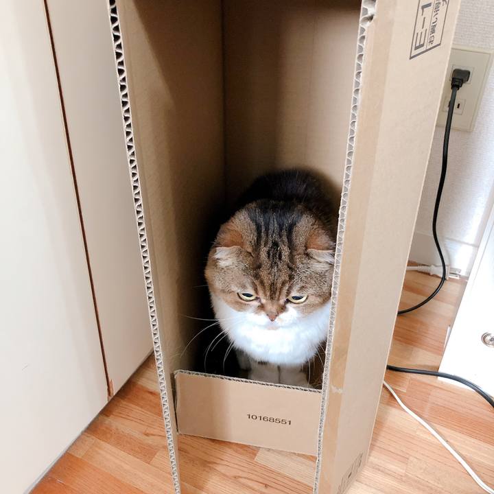 00ce422d 4a0c 41e3 a52b 0df082f43224 1559555435622