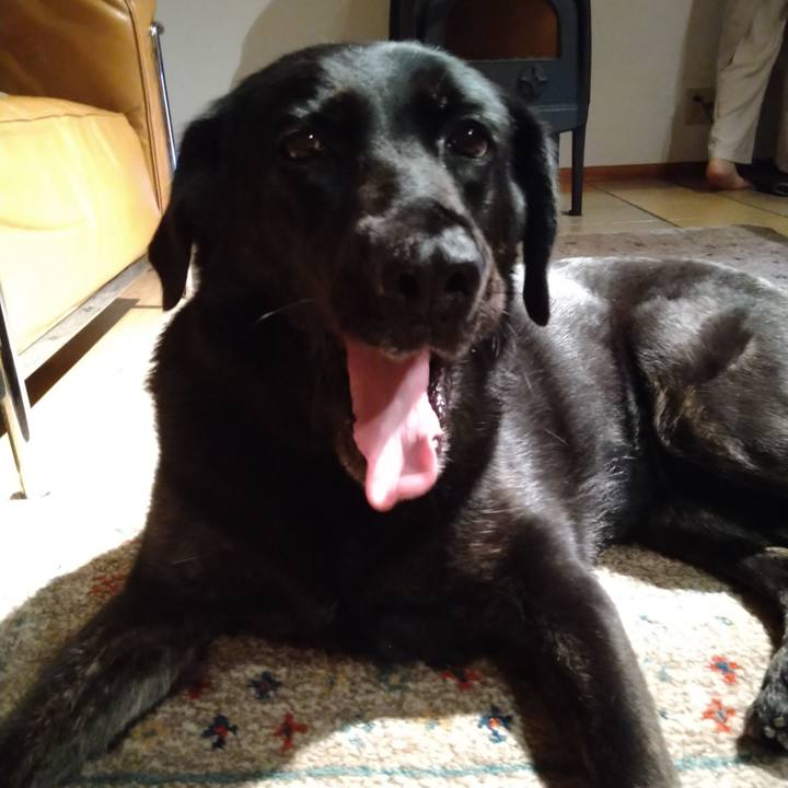 00ce533a 6c74 47f9 af00 943e6ce82143 1626442004495