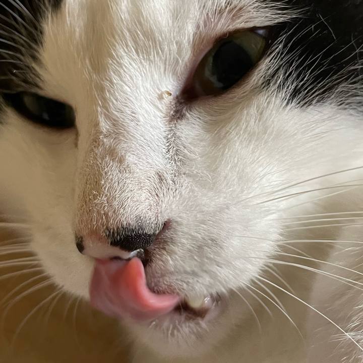 00ce5b15 74cf 4f51 8cf8 b842c9b05c17 1660563405968