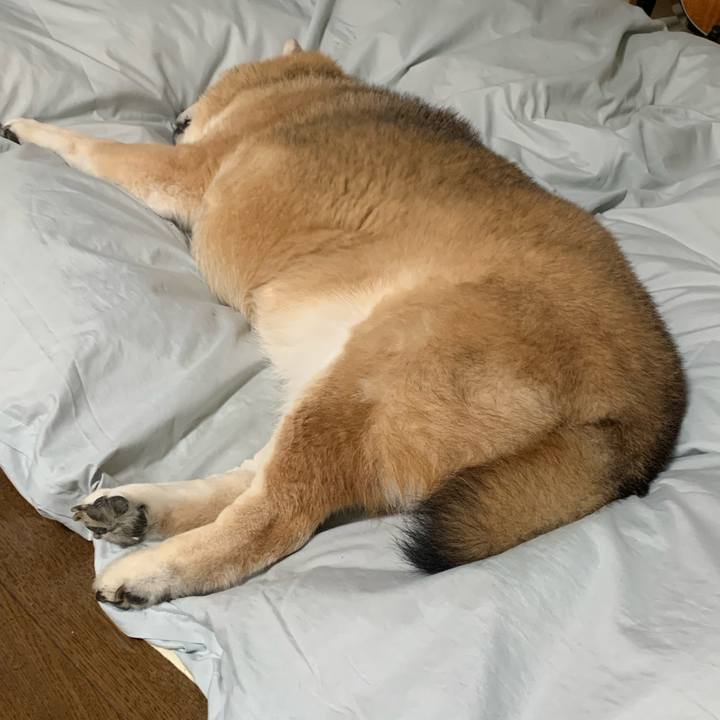 00ce5e10 8c54 4401 96e4 b76a7da9b70e 1649339281444