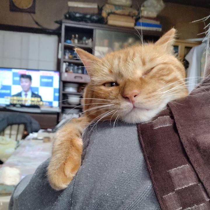 00ce787c 7a4d 4ef2 ae04 2ec58cb99a3c 1698107279007