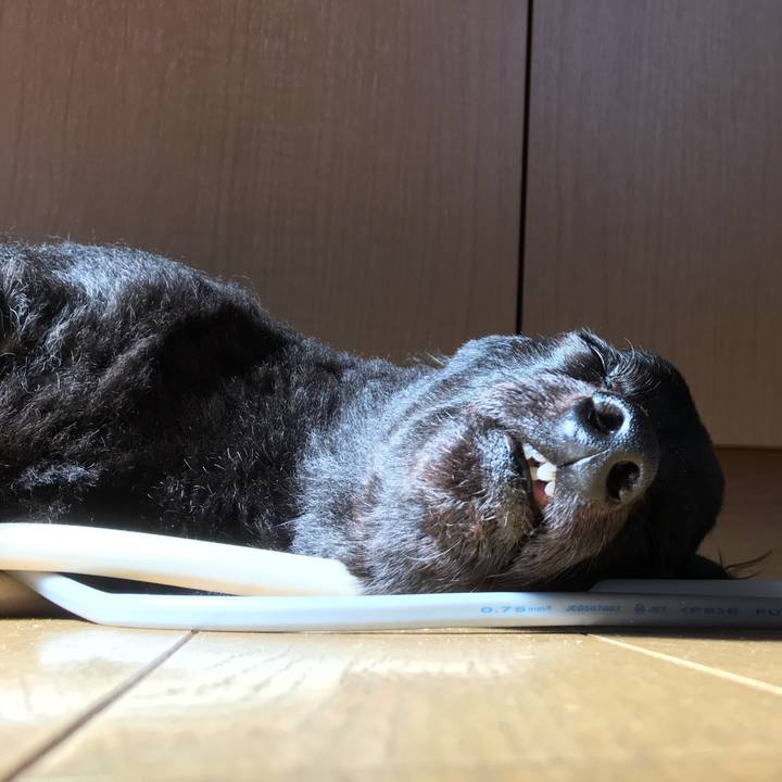 00ced039 c87b 4e5d ac97 ae49f1444568 1521077512753