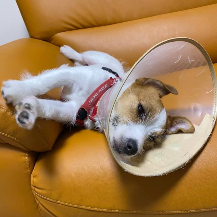 00ced0ef 08b2 4b95 991f 0ab886749830 1623334097128