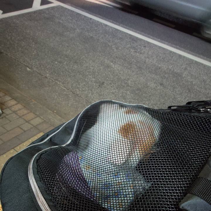 00cefc18 6729 4802 8d2d 27e975c8a069 1771848053341