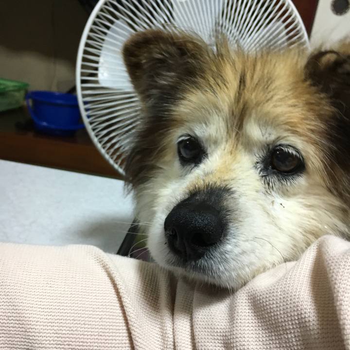 00cf4f1b ed20 4826 8da8 4b3193f26c5c 1628902161478