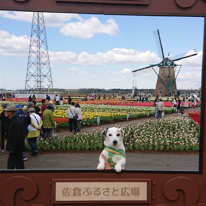 00cf72a0 e44f 4f35 ad1e 5b9cfe5a85f8 1554812788461