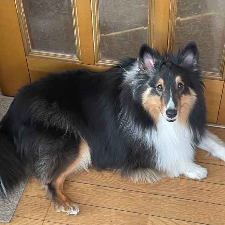 00cf7716 e321 4700 9014 74829f97f7a2 1618524328806