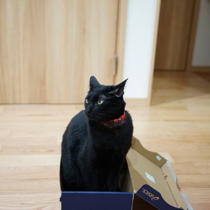 00cf7b8c a03a 4755 9064 dee223ca28b7 1511133764851