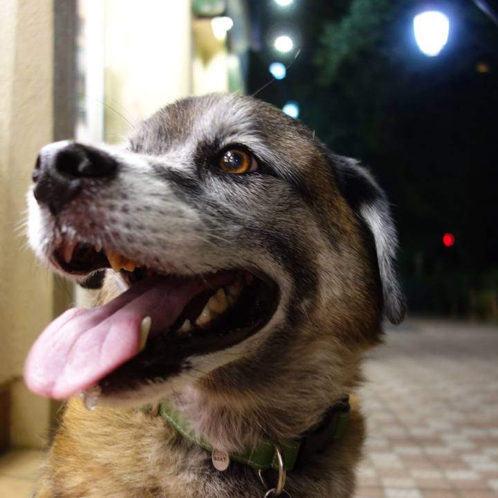 00cfb8fd 001e 4d1a 9280 e79c8c45ff47 1535206982886