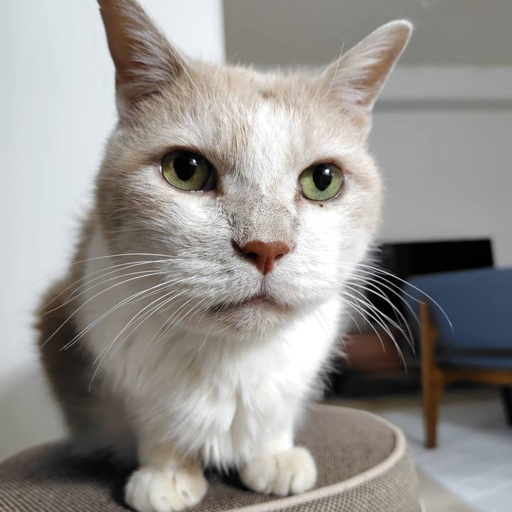 00cfde86 d976 4d25 abc9 25ebc3fb6489 1724233951914