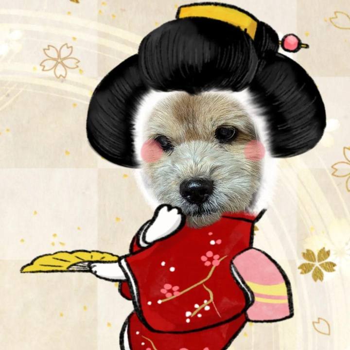 00d032d8 0f50 48f9 be54 3a20f3272d1a 1728430553744