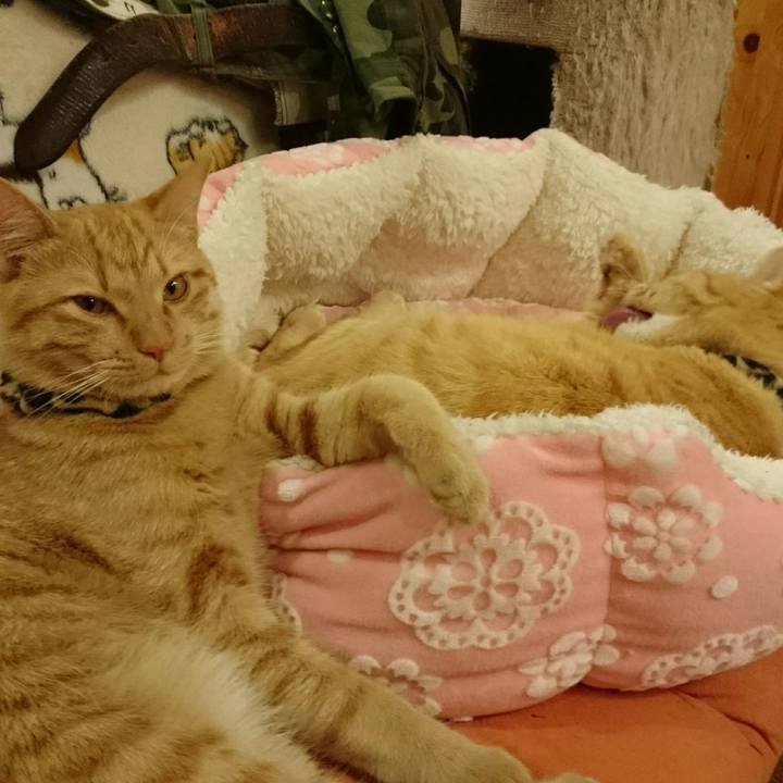 00d03f0c ac06 4d46 ac02 d5f44f022175 1553033126001